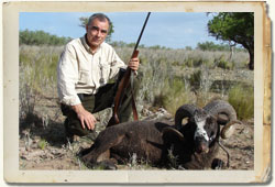 Cabras y Carneros Salvajes