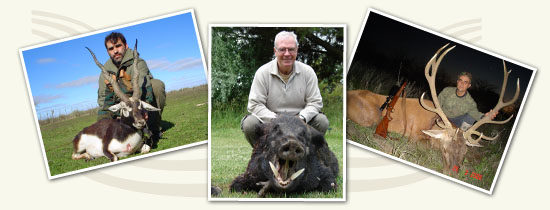 Caza Mayor en Argentina - Ant&iacute;lope - Jabal&iacute; - Ciervo Colorado