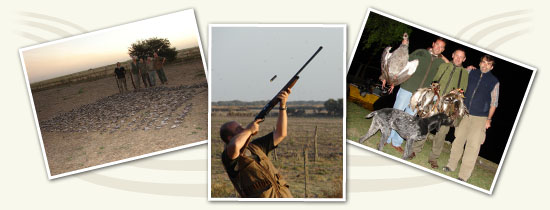 Caza Menor - T&oacute;rtolas - Patos - Gansos